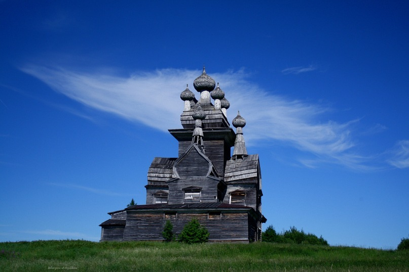 "Птица счастья" 