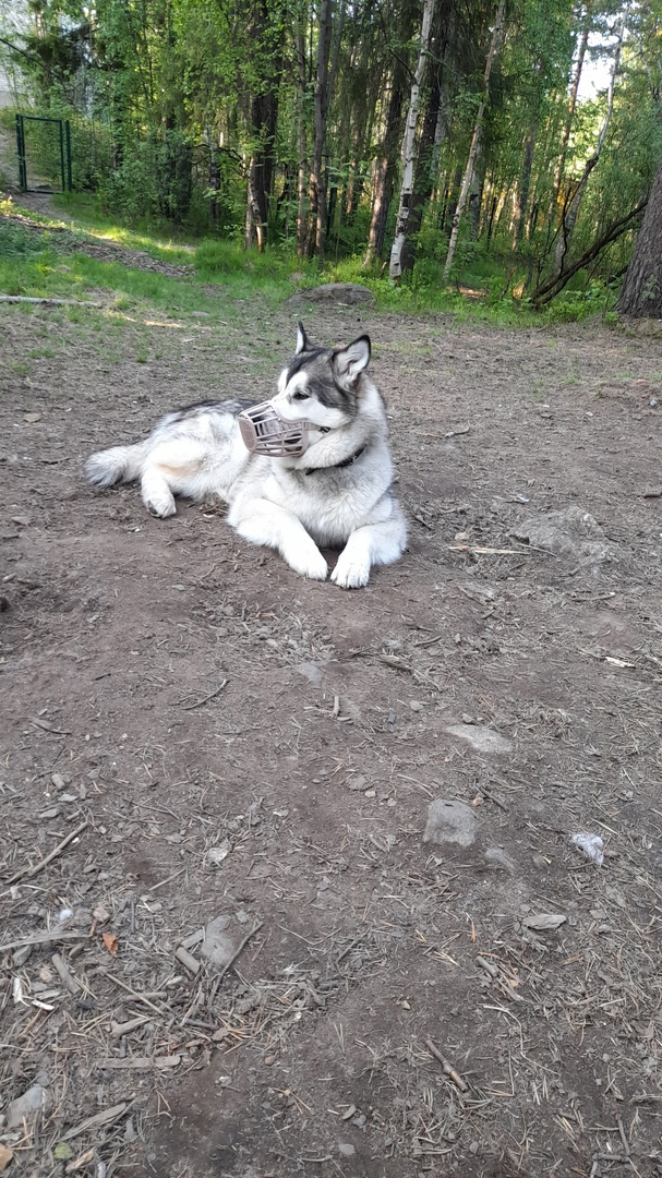 Устал 
