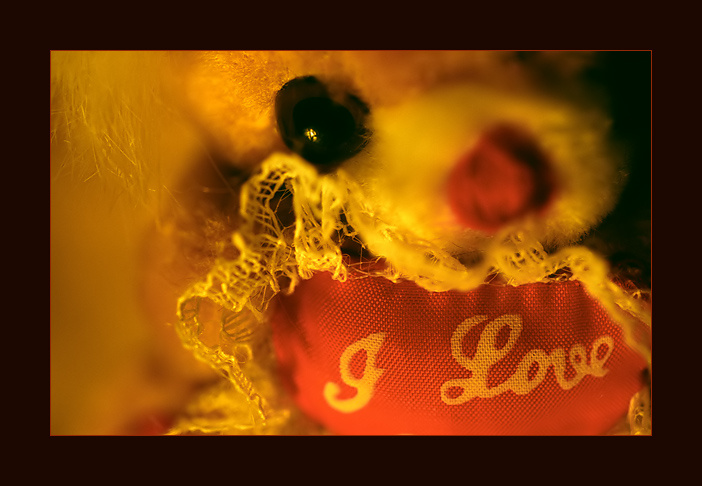 I Love ... 