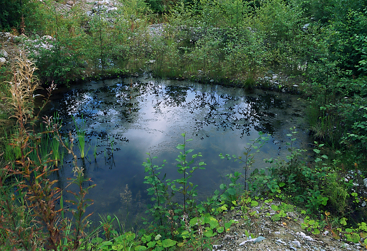 Под-, над-, около воды 