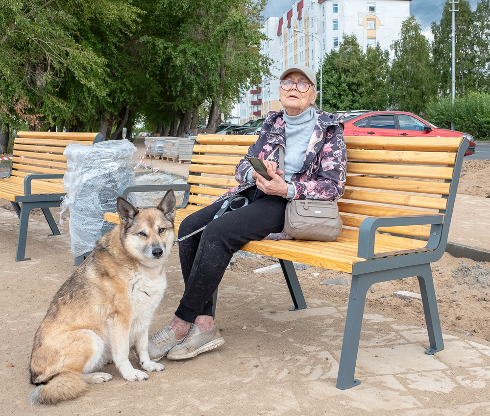 Дама с собакой 