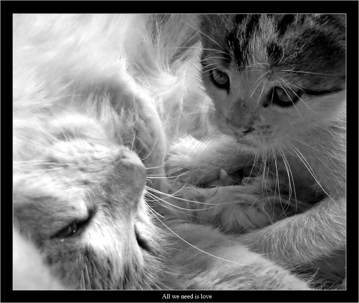 All we need is love 
