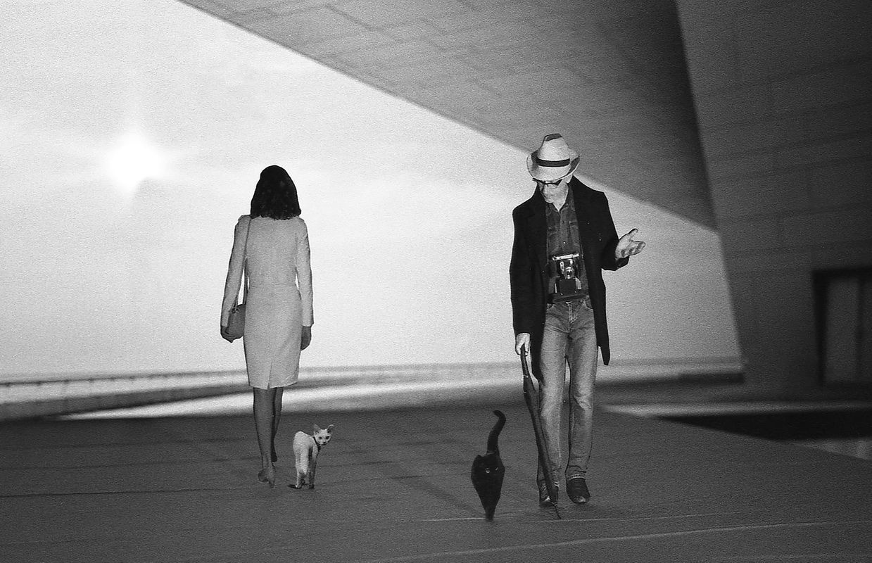 Кот и его человек 2 чёрно-белая плёнка 35mm