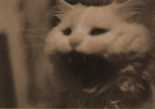 ужассс 