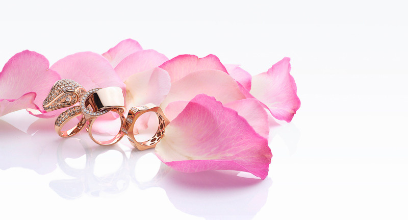 Jewelry Photography Jewelry Photography
