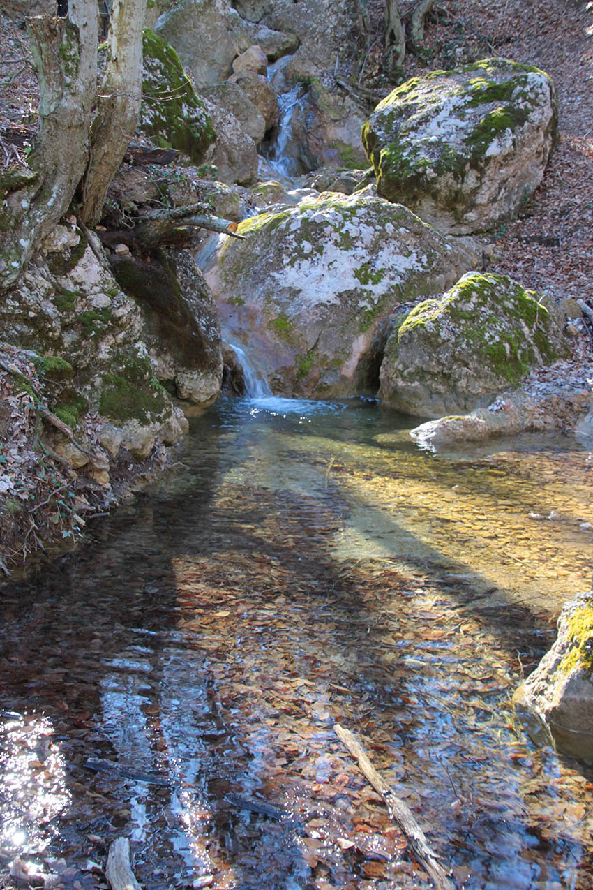 Вода просыпается 