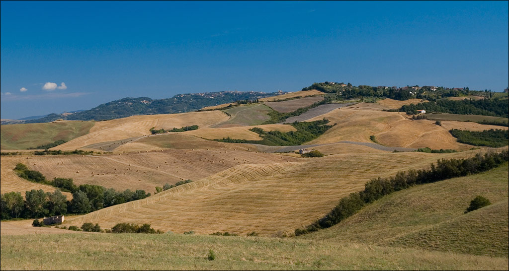Bella Toscana Cedri, Provincia di Pisa, Italy