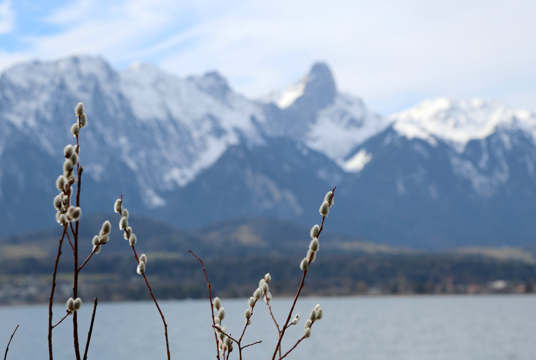 Весна на Thunersee. Швейцария Швейцария весна прогулка