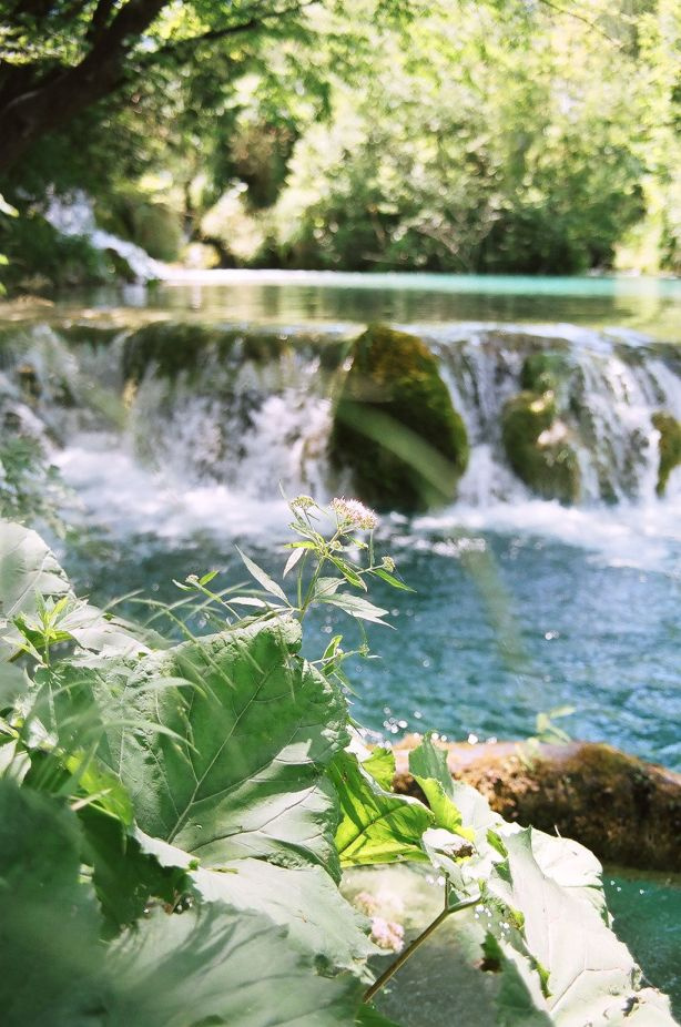 Повеяло прохладой водопад, пороги, цветы, ручей