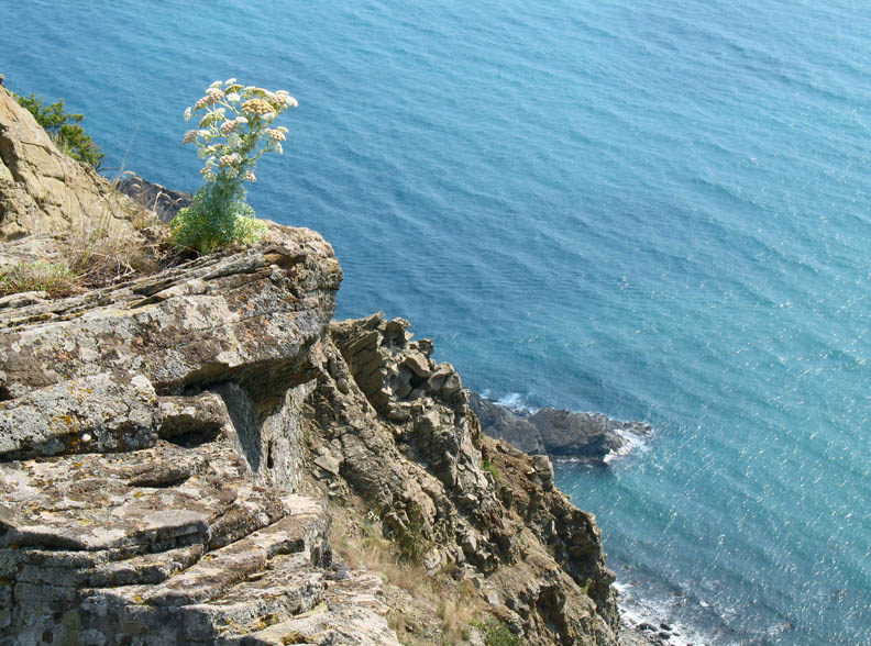 *** Крым море