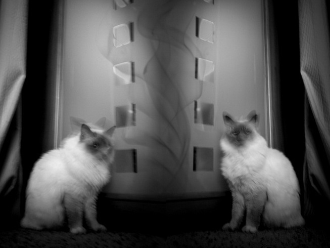 ... B&W