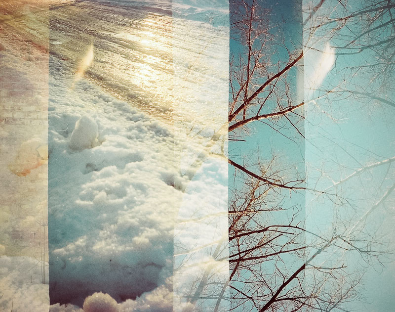 *** мультиэкспозиция, пленка, чайка, chaika, film, multiexposure