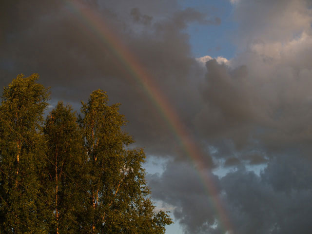 Rainbow 