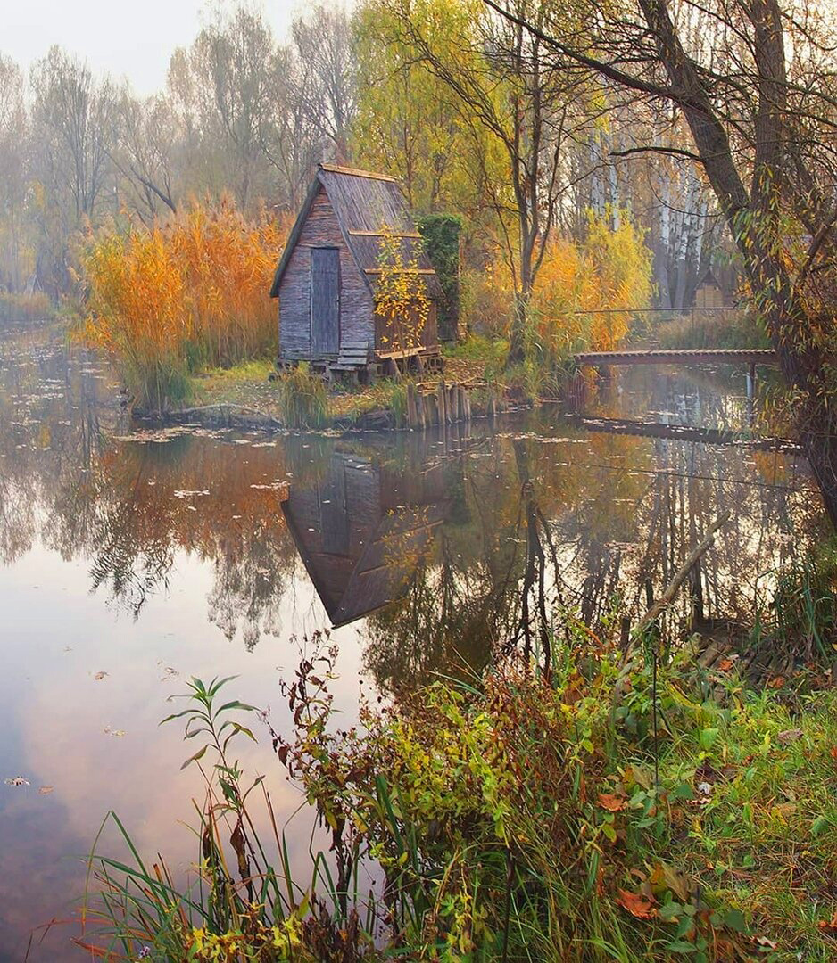 Осенние сказки 