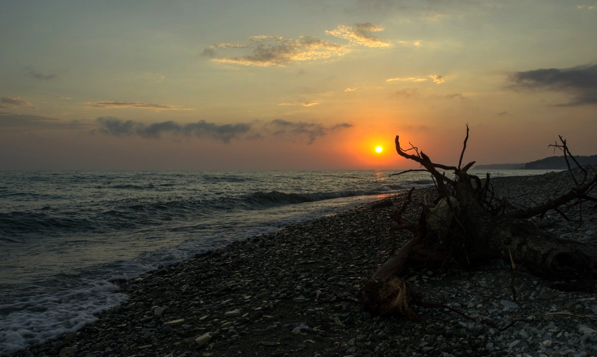 Вечер у моря... море вечер коряга