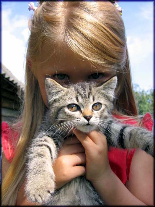 * * * котенок, девочка, лето, детство...