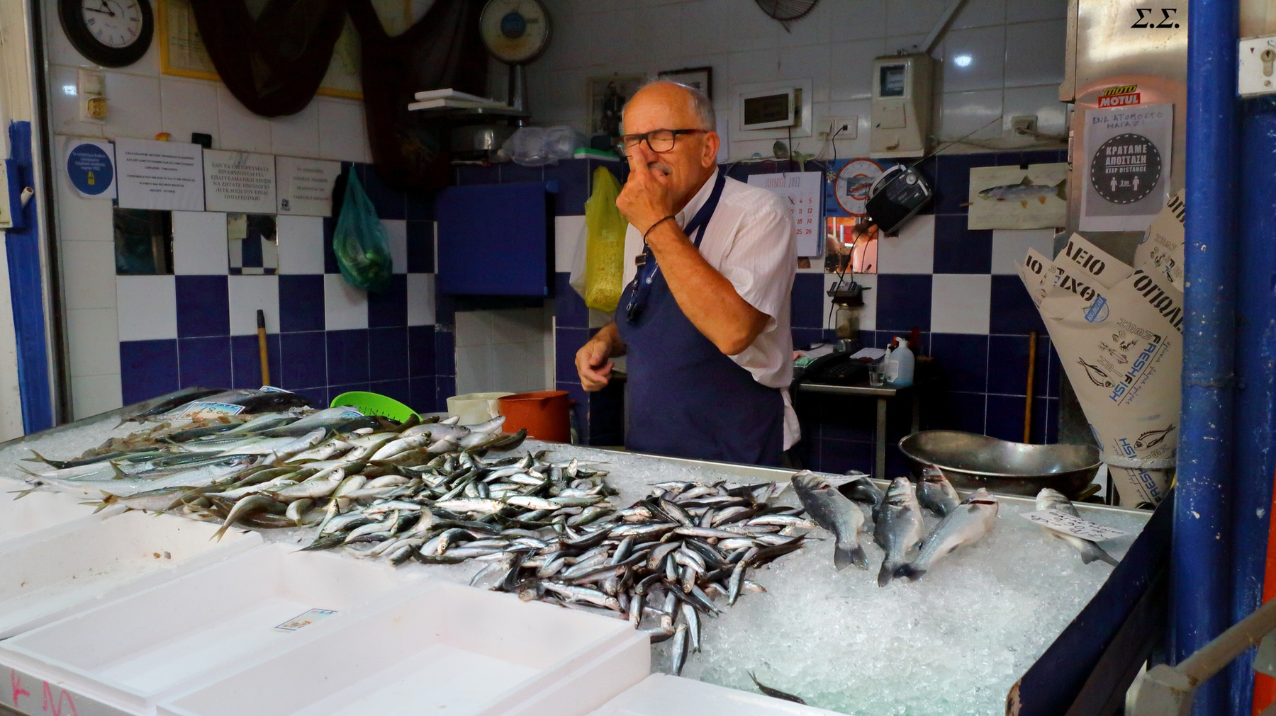 HOW MUCH IS THE FISH 