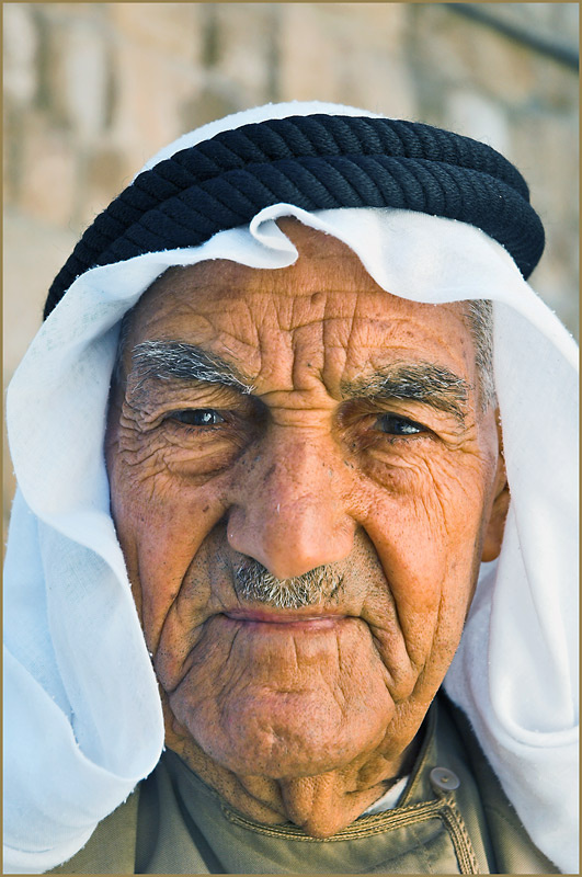 Шейх 