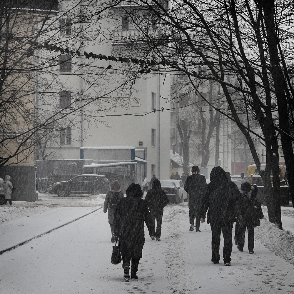 Утро понедельника 