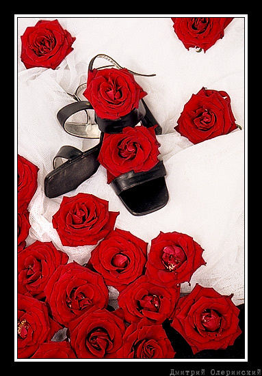 Ушла... розы тапки туфли