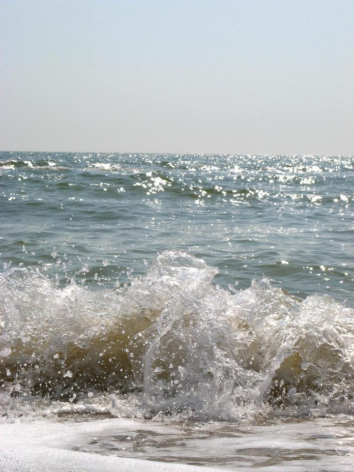 Волна Волна море