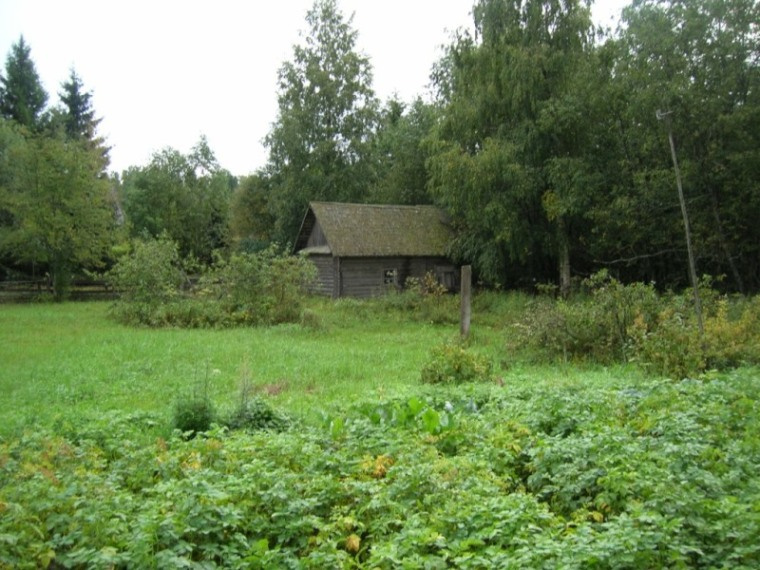Баня Баня, природа