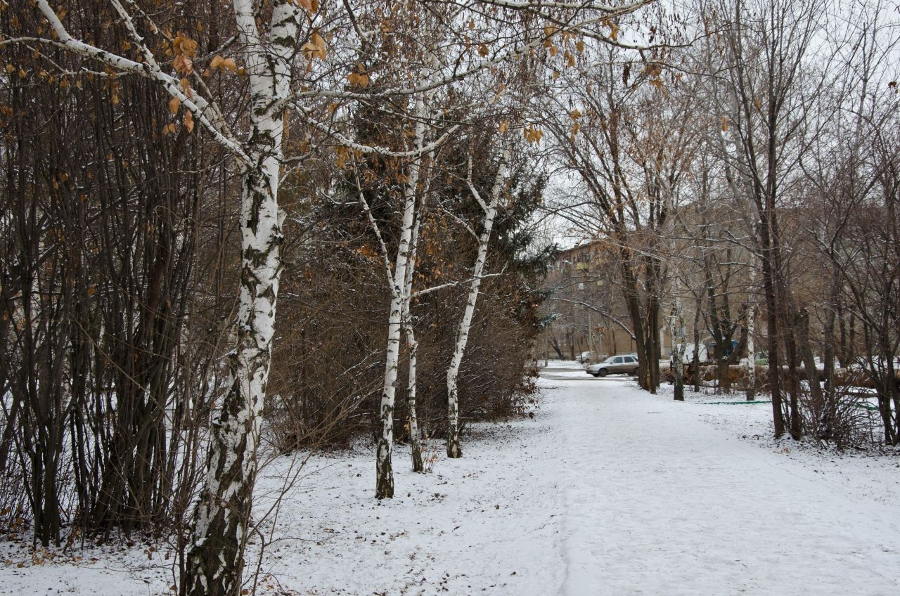 Снежная тропа 