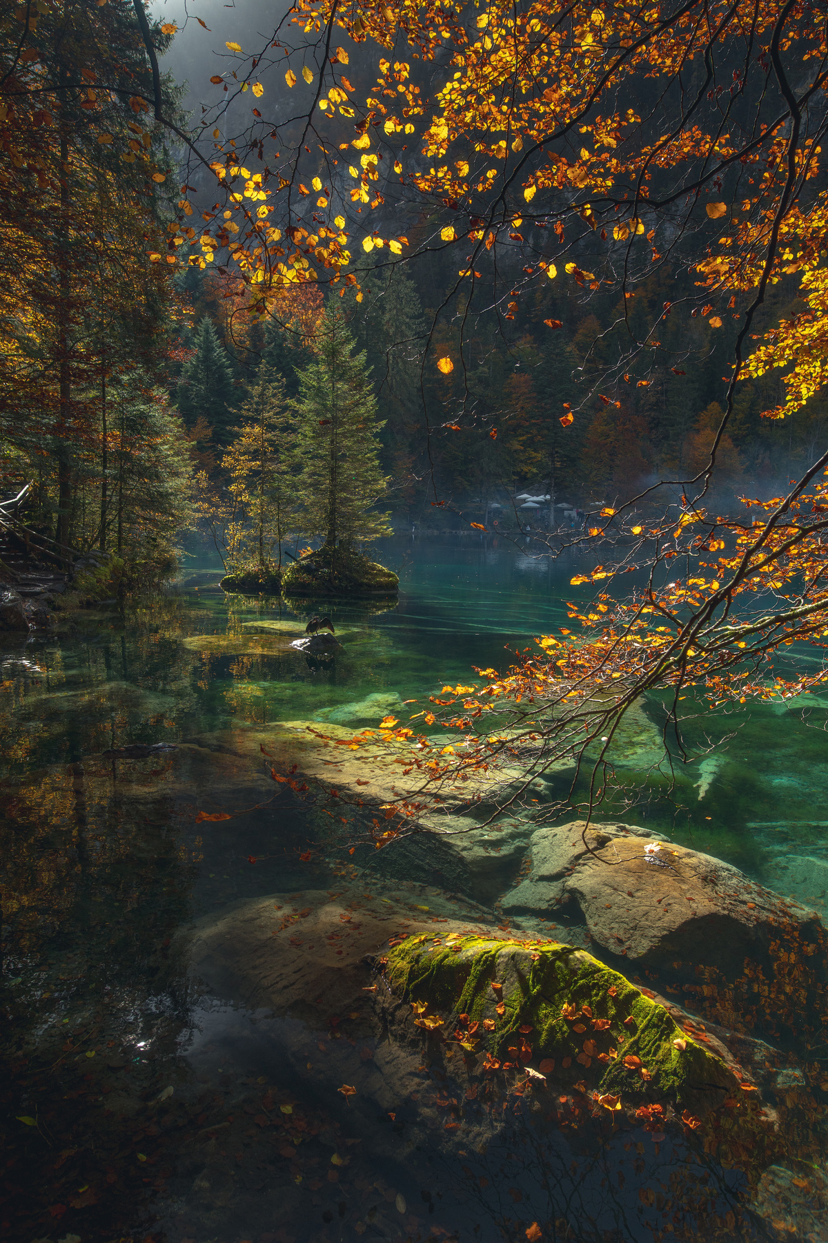 Blausee blausee kandersteg switzerland