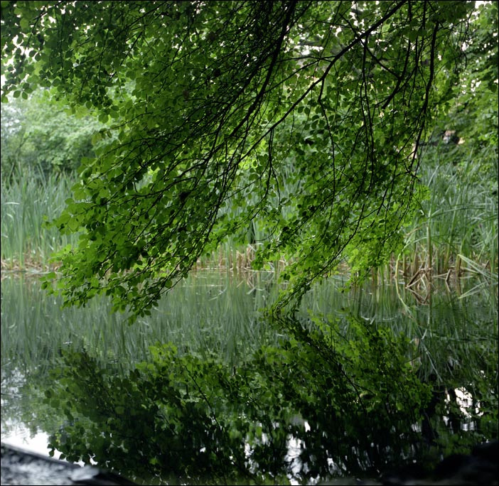 У воды Rollei