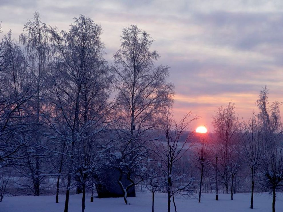 February Sky 