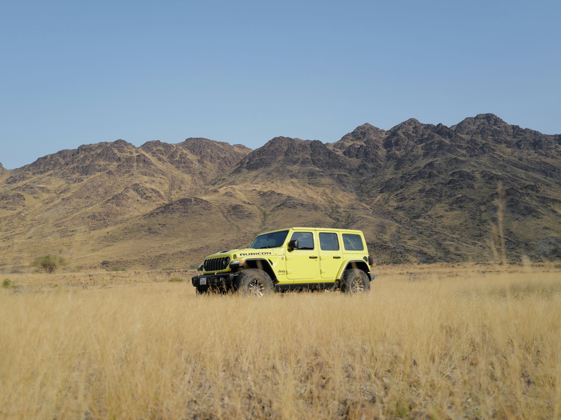 На свободном выпасе Jeep