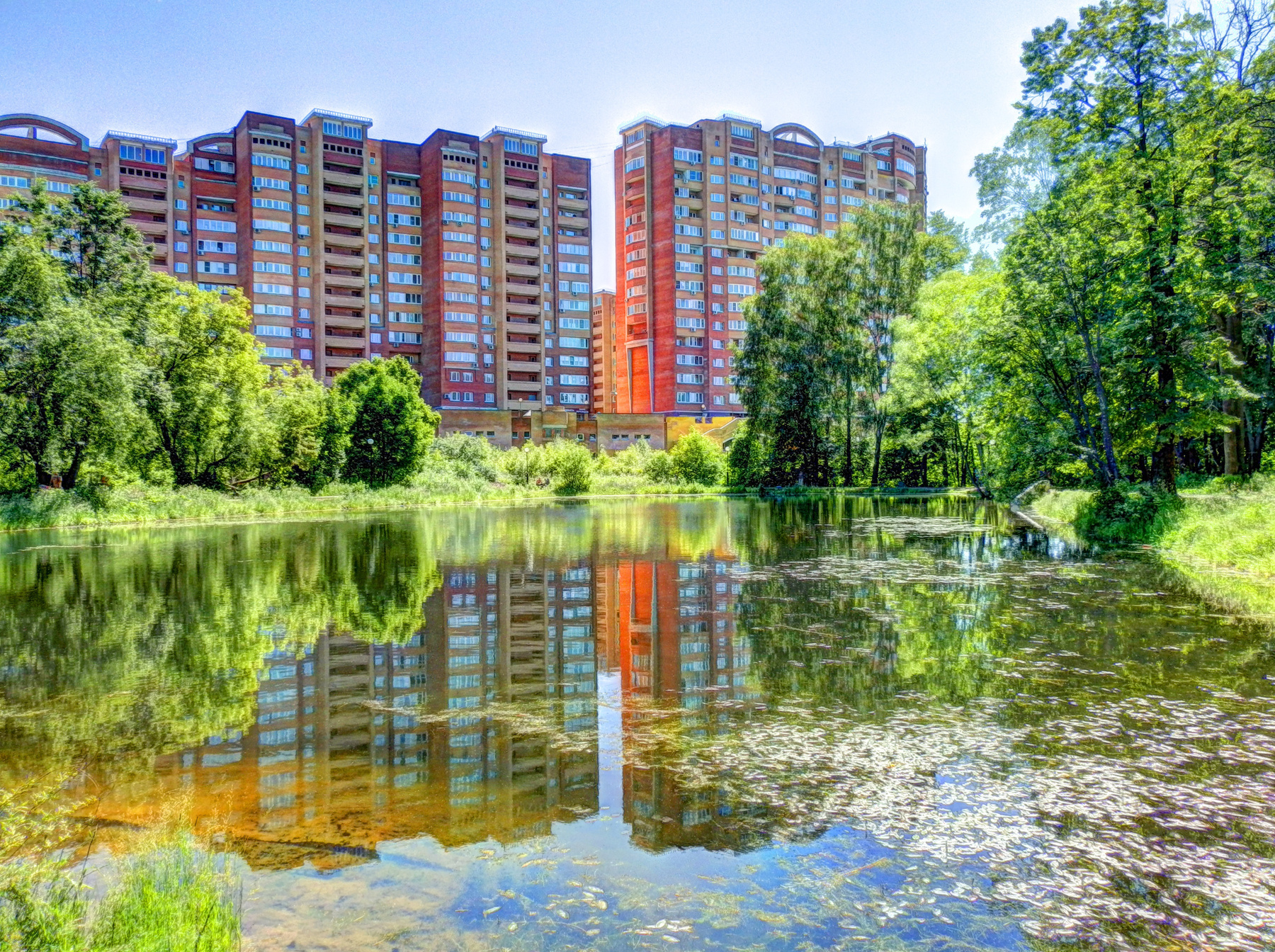 Красногорский парк природа, пруд, парк