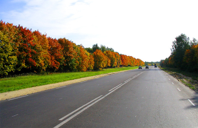 Осенняя дорога Дорога осень