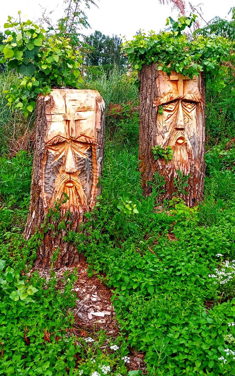 Живые скульптуры. деревья скульптуры