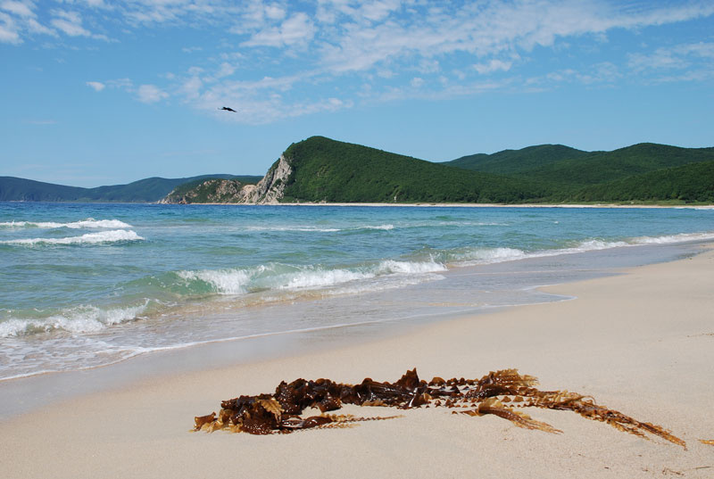Лазо Лазовский заповедник море пляж песок
