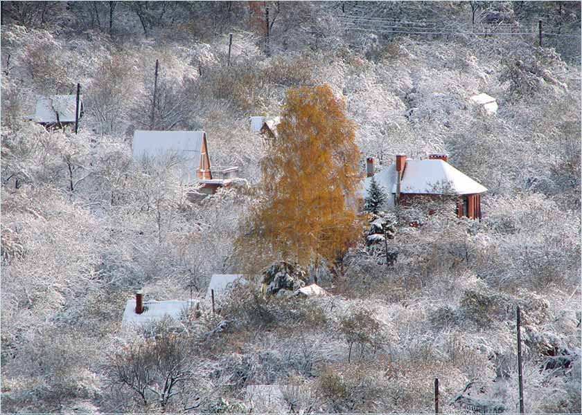 Осень в снегу (И вдруг зима...) Природа Зима Осень Снег Харьков