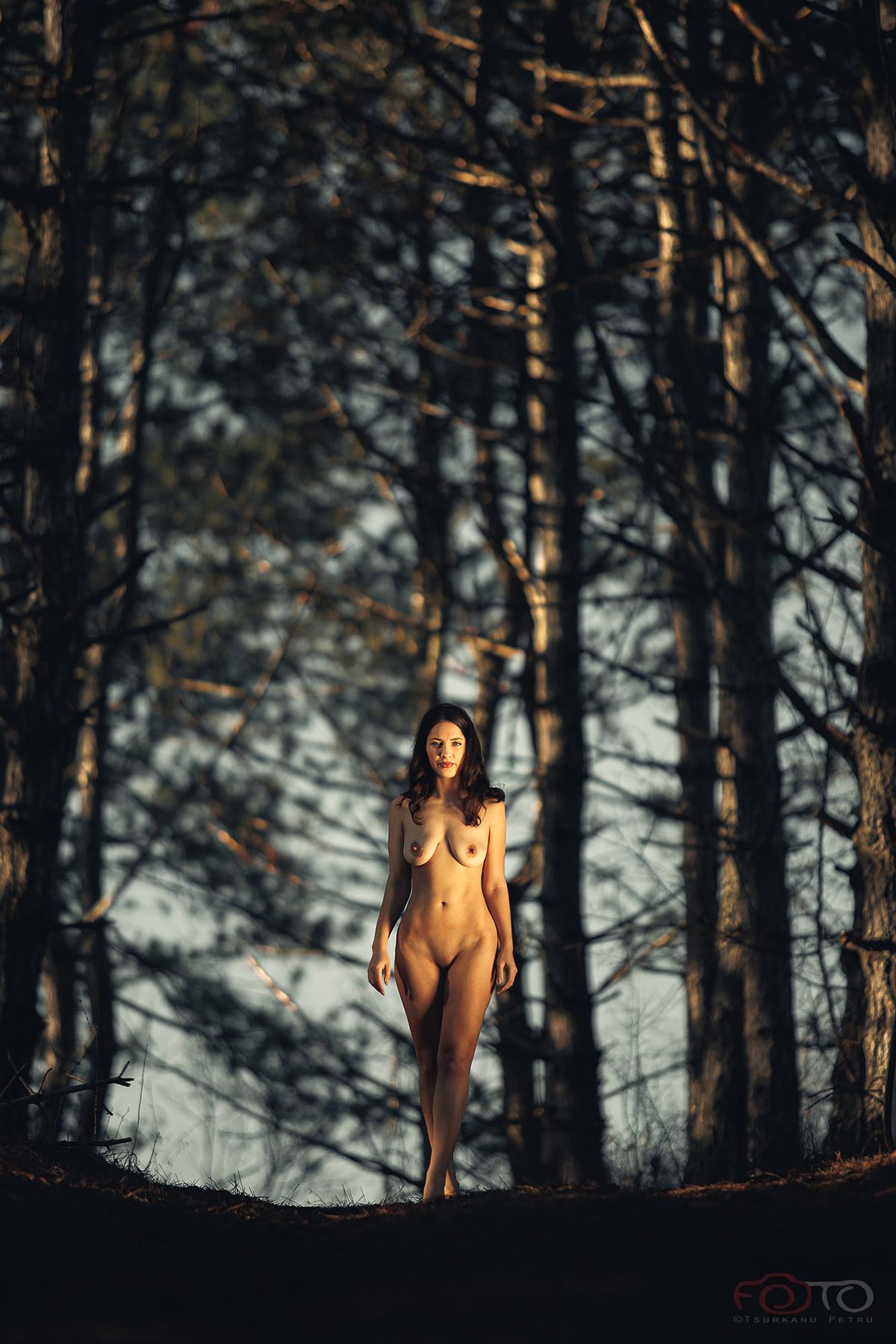 Path 