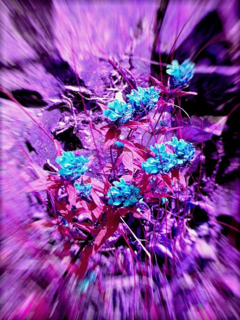 *** 