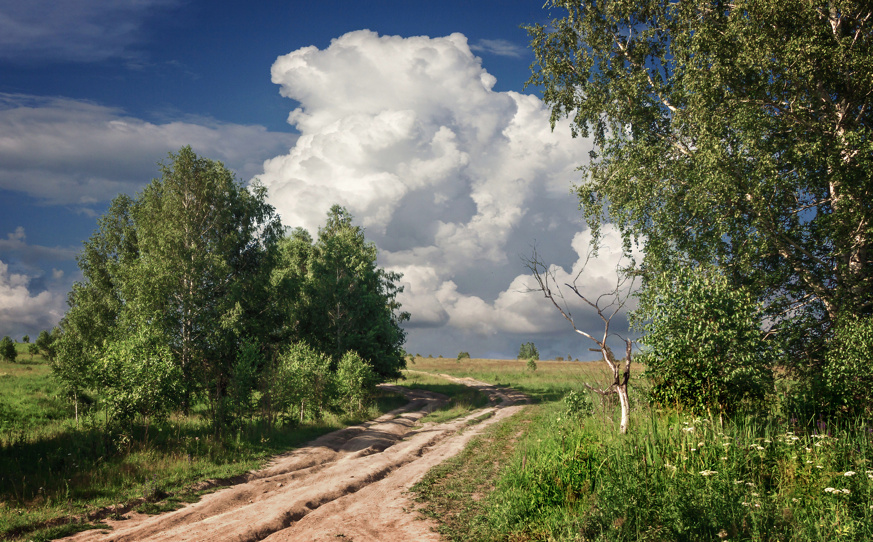 Перед грозой 