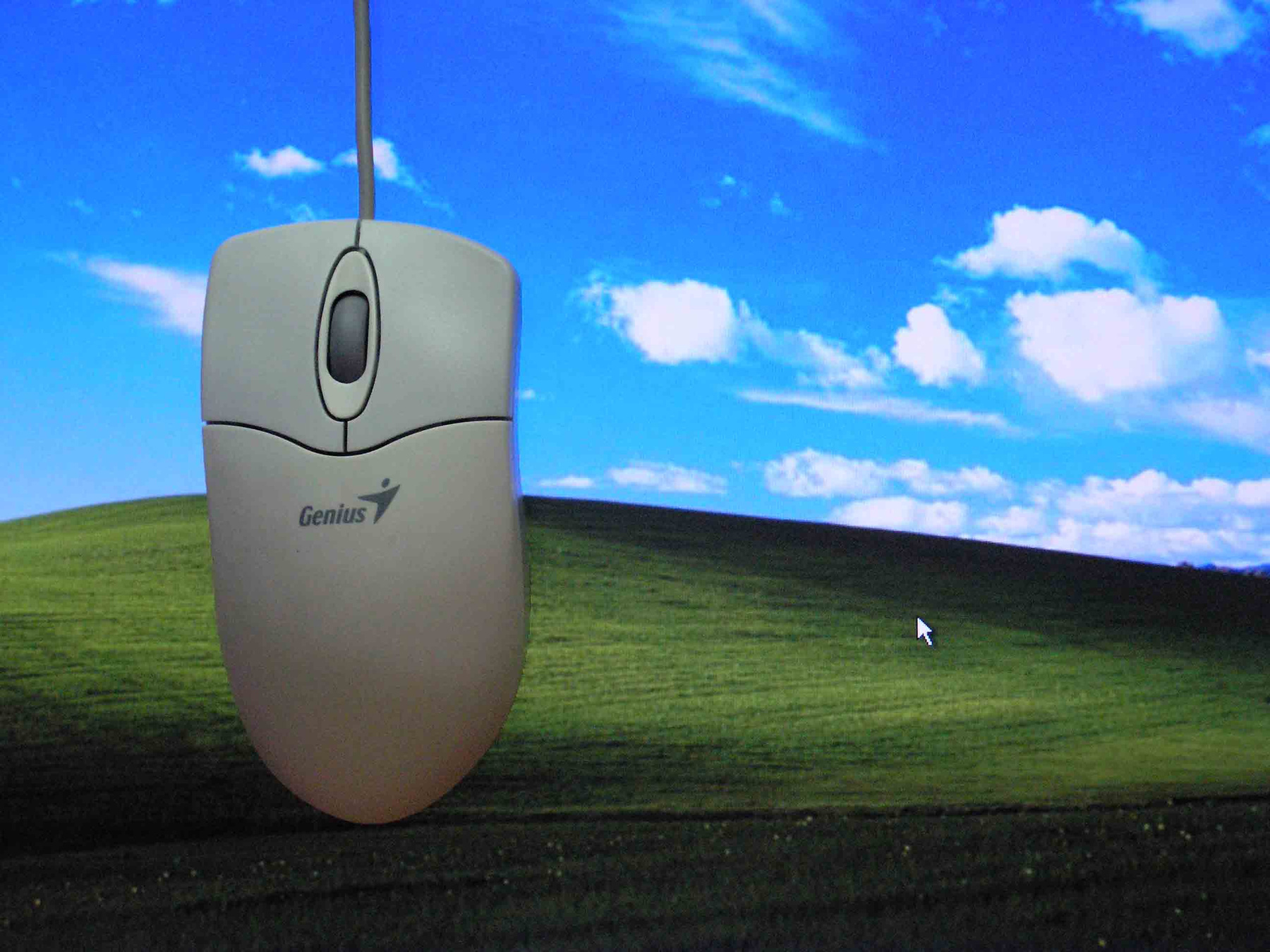 Люблю Компьютерная мышь компьютер Люблю desktop повесили подвешенная