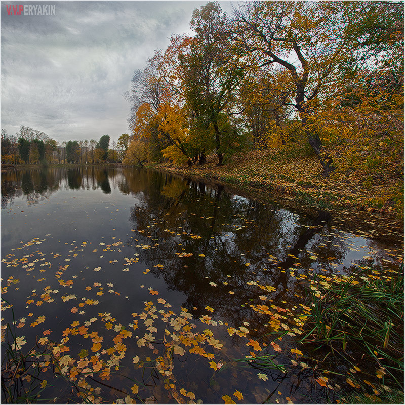 Осень, осень... 