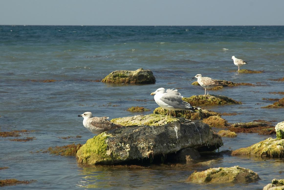 Рыбаки. 