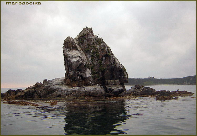 найди двух бакланов бакланы скалы море