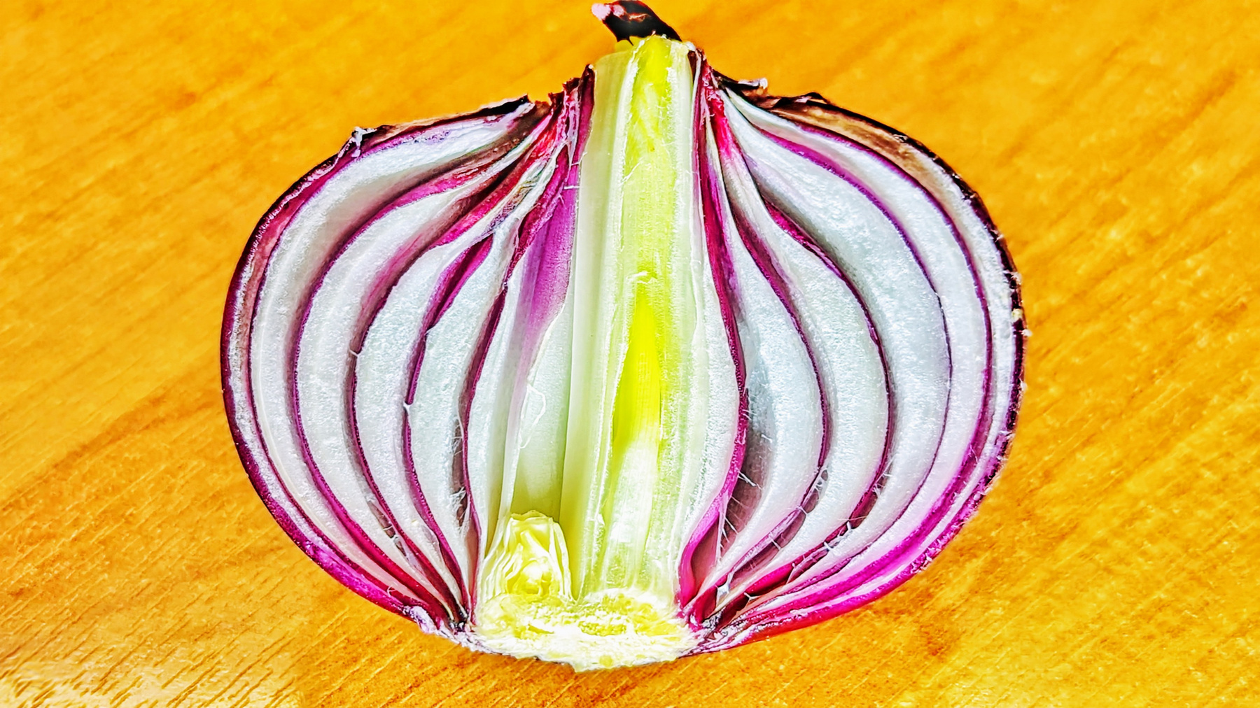 Лук 