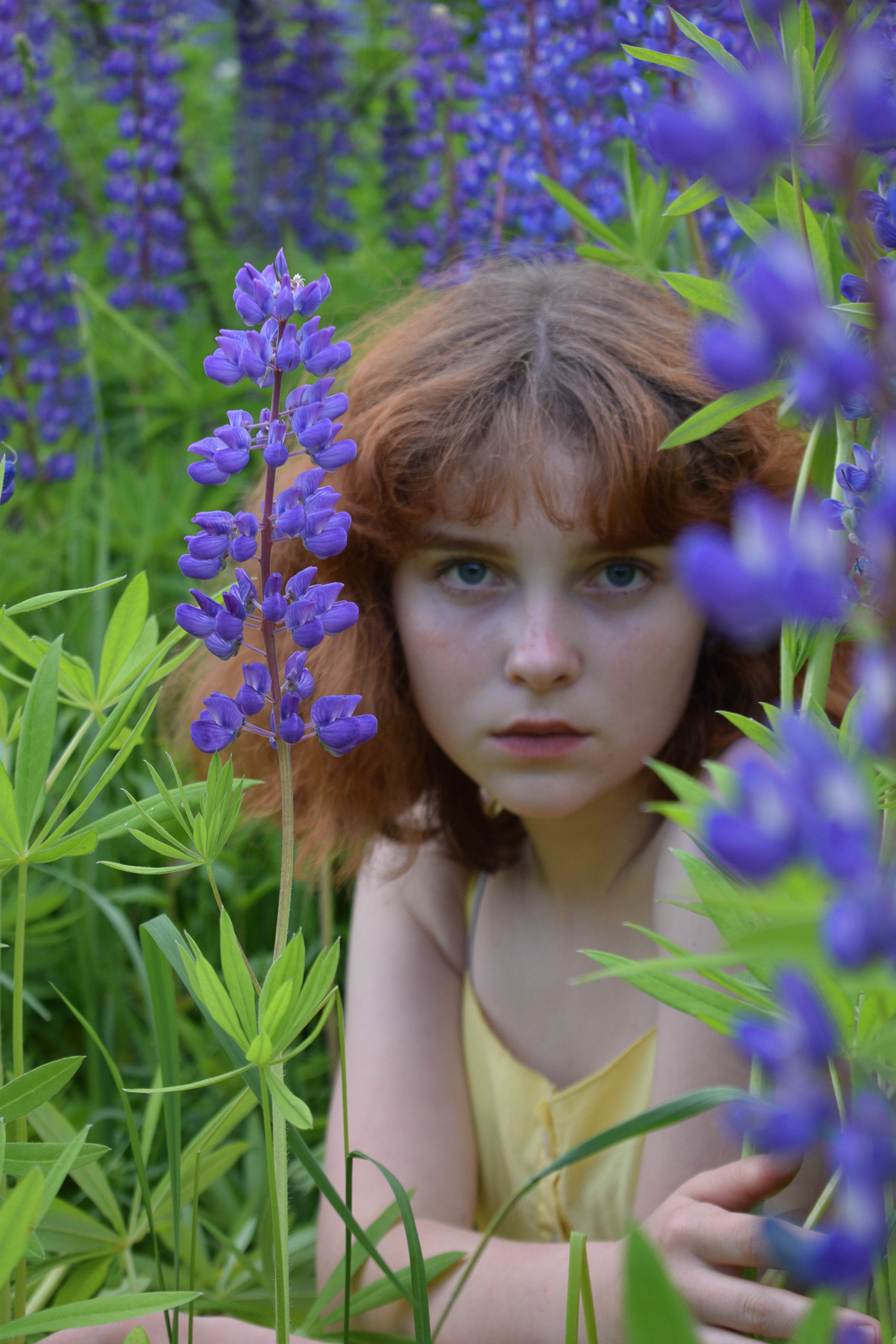 **** 