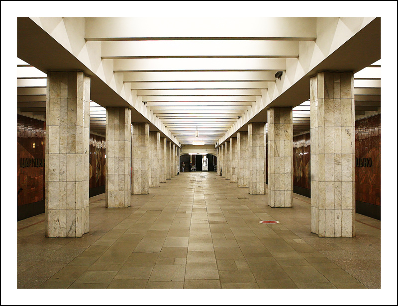 The Tsaritsyno Station 