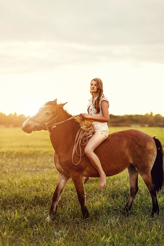 *** природа, пейзаж, животные