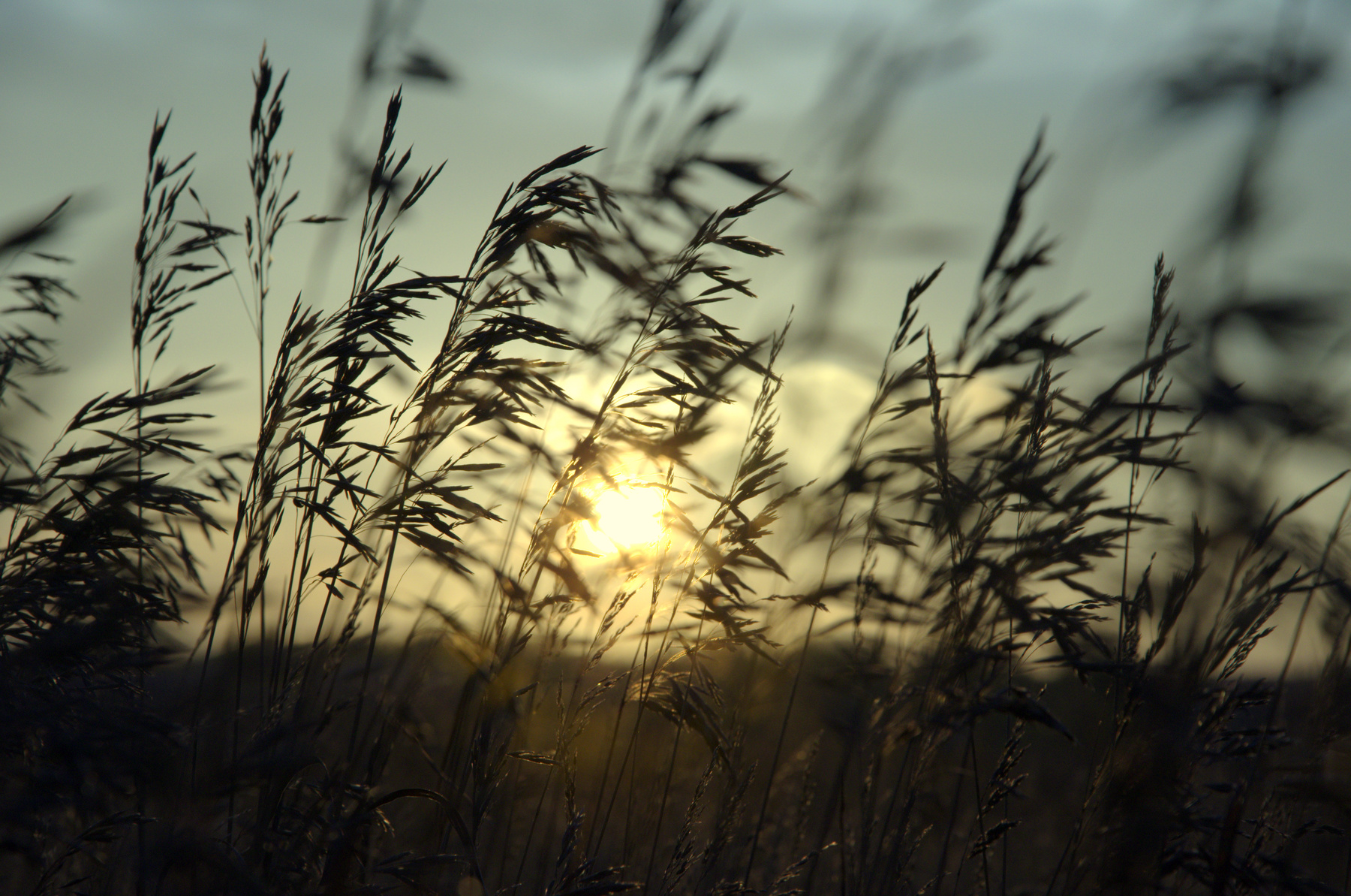 рассвет осенний вариант*** 