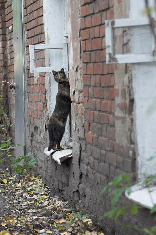 ВОР 