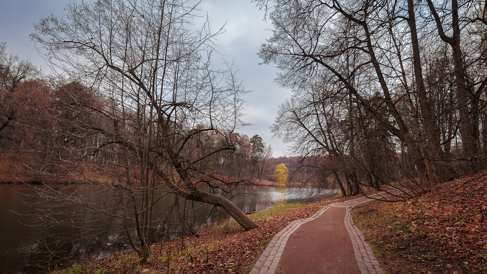 В осеннем парке... Парк осень